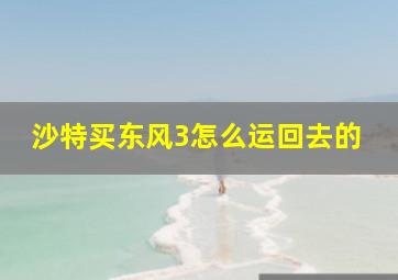 沙特买东风3怎么运回去的