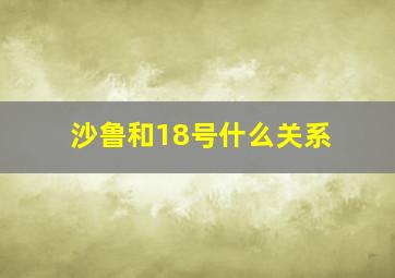 沙鲁和18号什么关系