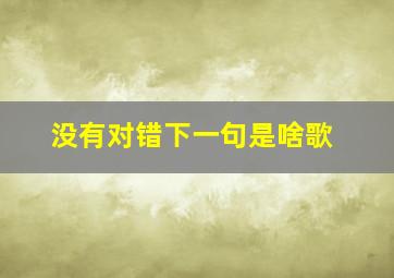 没有对错下一句是啥歌