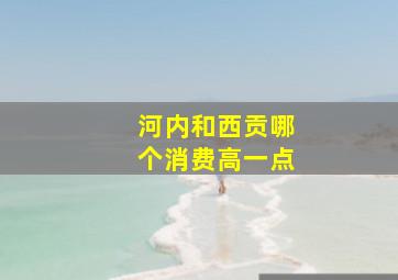 河内和西贡哪个消费高一点