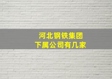 河北钢铁集团下属公司有几家