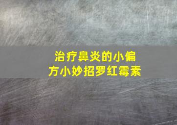 治疗鼻炎的小偏方小妙招罗红霉素