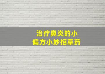 治疗鼻炎的小偏方小妙招草药