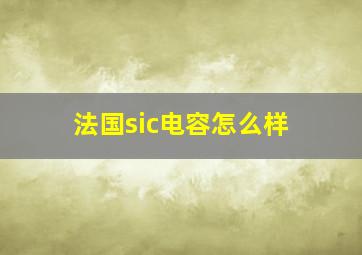 法国sic电容怎么样