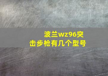 波兰wz96突击步枪有几个型号