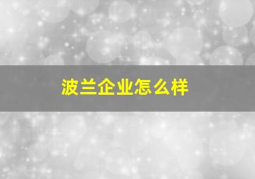 波兰企业怎么样