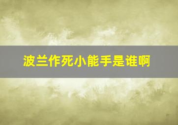 波兰作死小能手是谁啊