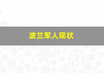 波兰军人现状