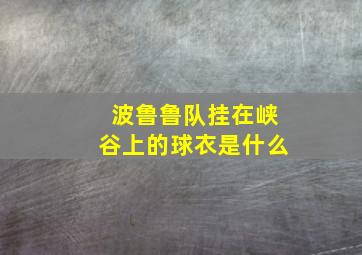 波鲁鲁队挂在峡谷上的球衣是什么