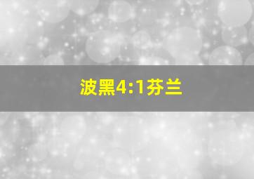 波黑4:1芬兰