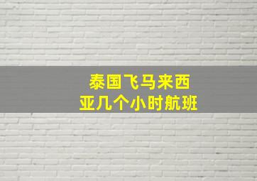 泰国飞马来西亚几个小时航班