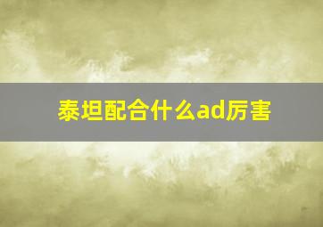 泰坦配合什么ad厉害