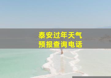 泰安过年天气预报查询电话