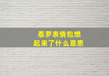 泰罗表情包燃起来了什么意思