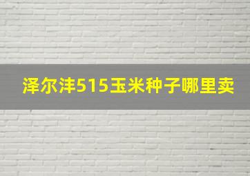 泽尔沣515玉米种子哪里卖