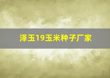 泽玉19玉米种子厂家