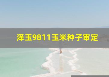 泽玉9811玉米种子审定