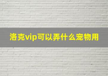 洛克vip可以弄什么宠物用