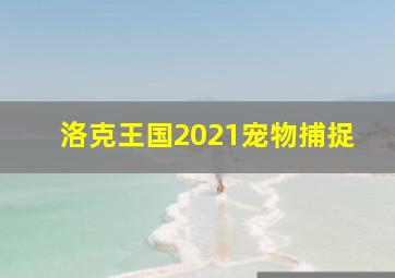 洛克王国2021宠物捕捉