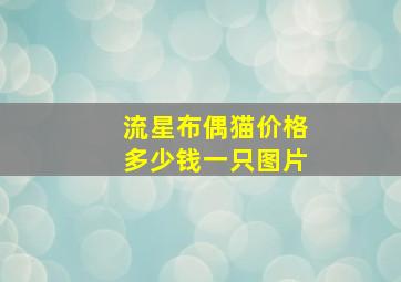 流星布偶猫价格多少钱一只图片