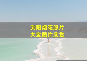 浏阳烟花照片大全图片欣赏