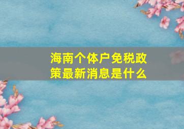 海南个体户免税政策最新消息是什么