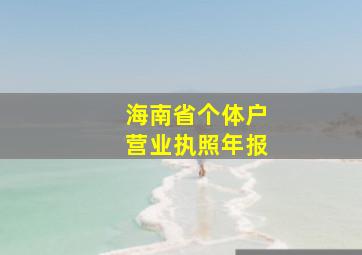 海南省个体户营业执照年报