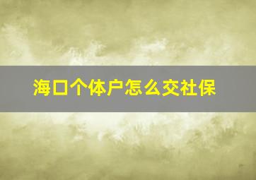 海口个体户怎么交社保