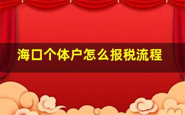 海口个体户怎么报税流程