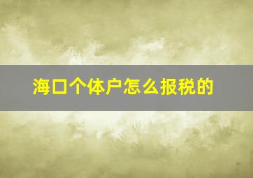 海口个体户怎么报税的