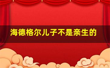 海德格尔儿子不是亲生的