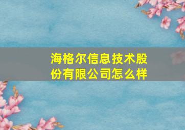 海格尔信息技术股份有限公司怎么样