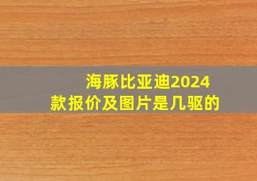 海豚比亚迪2024款报价及图片是几驱的