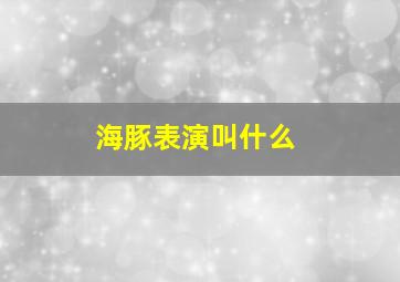 海豚表演叫什么