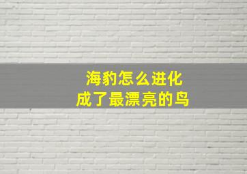 海豹怎么进化成了最漂亮的鸟