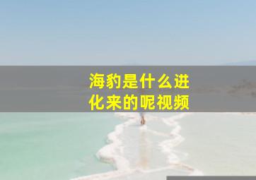 海豹是什么进化来的呢视频