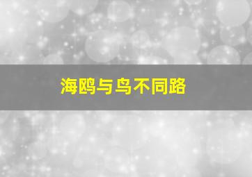 海鸥与鸟不同路