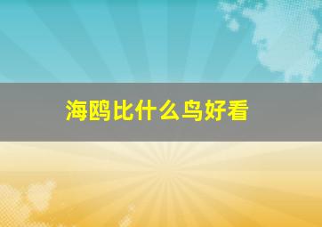 海鸥比什么鸟好看