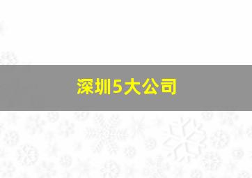 深圳5大公司