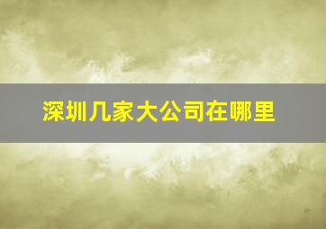 深圳几家大公司在哪里