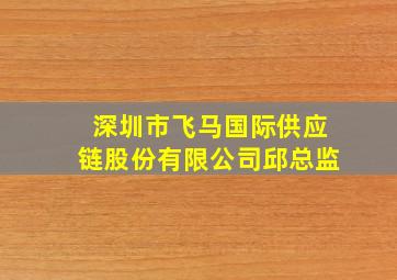 深圳市飞马国际供应链股份有限公司邱总监