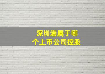 深圳港属于哪个上市公司控股