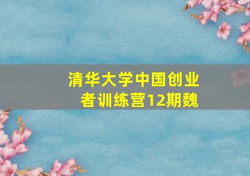 清华大学中国创业者训练营12期魏