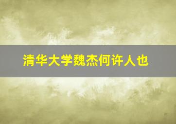 清华大学魏杰何许人也