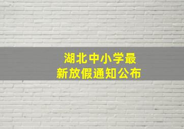 湖北中小学最新放假通知公布