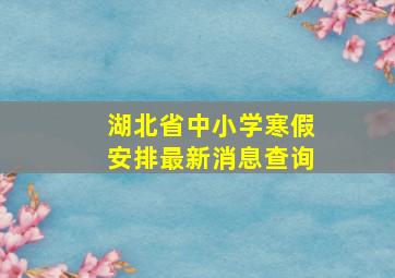 湖北省中小学寒假安排最新消息查询