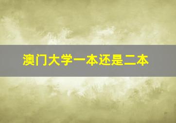 澳门大学一本还是二本