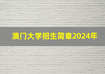 澳门大学招生简章2024年