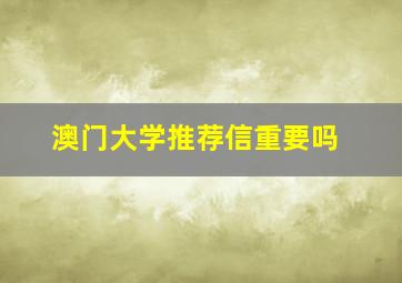 澳门大学推荐信重要吗