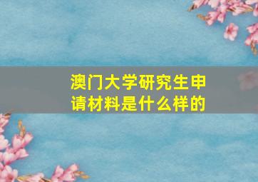 澳门大学研究生申请材料是什么样的